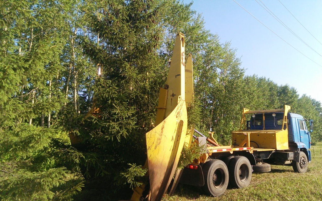 четвертый этап работы пересадчик крупномерных деревьев BigJohn90 на базе автомобиля Камаз 65117